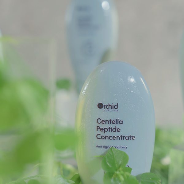 Centella Peptide Concentrate